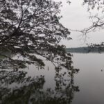 ‘ಡಿಸೆಂಬರ್ ಬಂದಿತು, ಚಳಿಯಾಕೆ ಬಂದಳು’: ಮಹಾಲಕ್ಷ್ಮೀ ಕೆ.ಎನ್.‌ ಬರಹ