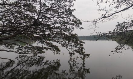 ‘ಡಿಸೆಂಬರ್ ಬಂದಿತು, ಚಳಿಯಾಕೆ ಬಂದಳು’: ಮಹಾಲಕ್ಷ್ಮೀ ಕೆ.ಎನ್.‌ ಬರಹ