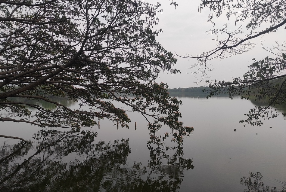 ‘ಡಿಸೆಂಬರ್ ಬಂದಿತು, ಚಳಿಯಾಕೆ ಬಂದಳು’: ಮಹಾಲಕ್ಷ್ಮೀ ಕೆ.ಎನ್.‌ ಬರಹ