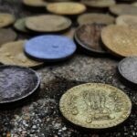 ಕಳ್ಳರು ಹಾಕಿದ ಕೊಡಲಿಯೇಟು…: ಜುಲೇಖಾ ಬೇಗಂ ಜೀವನ ವೃತ್ತಾಂತ