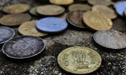 ಕಳ್ಳರು ಹಾಕಿದ ಕೊಡಲಿಯೇಟು…: ಜುಲೇಖಾ ಬೇಗಂ ಜೀವನ ವೃತ್ತಾಂತ