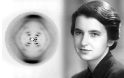 ಪ್ರಸಿದ್ಧ ಫೋಟೋದ ಹಿಂದಿನ ರಹಸ್ಯ: ಶೇಷಾದ್ರಿ ಗಂಜೂರು ಸರಣಿ