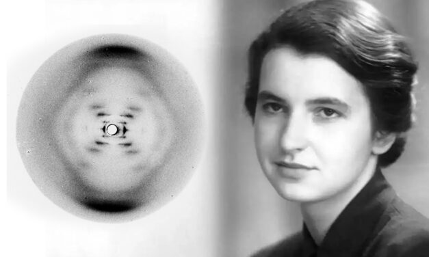 ಪ್ರಸಿದ್ಧ ಫೋಟೋದ ಹಿಂದಿನ ರಹಸ್ಯ: ಶೇಷಾದ್ರಿ ಗಂಜೂರು ಸರಣಿ