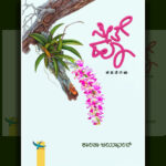 ‘ಸೀತೆ ಹೂ’ ಅರಳುವ ಸಮಯ…: ಶಾಂತಾ ಜಯಾನಂದ್ ಕವನ ಸಂಕಲನಕ್ಕೆ ಎಚ್.ಆರ್.‌ ಸುಜಾತಾ ಮುನ್ನುಡಿ