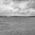 ಹಿನ್ನೀರಿನಲ್ಲೊಂದು ಮುಂಜಾನೆ: ವಿನಾಯಕ ಅರಳಸುರಳಿ ಅಂಕಣ