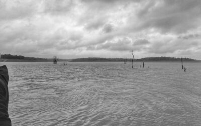 ಹಿನ್ನೀರಿನಲ್ಲೊಂದು ಮುಂಜಾನೆ: ವಿನಾಯಕ ಅರಳಸುರಳಿ ಅಂಕಣ