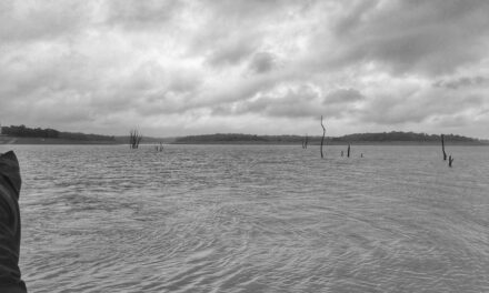 ಹಿನ್ನೀರಿನಲ್ಲೊಂದು ಮುಂಜಾನೆ: ವಿನಾಯಕ ಅರಳಸುರಳಿ ಅಂಕಣ