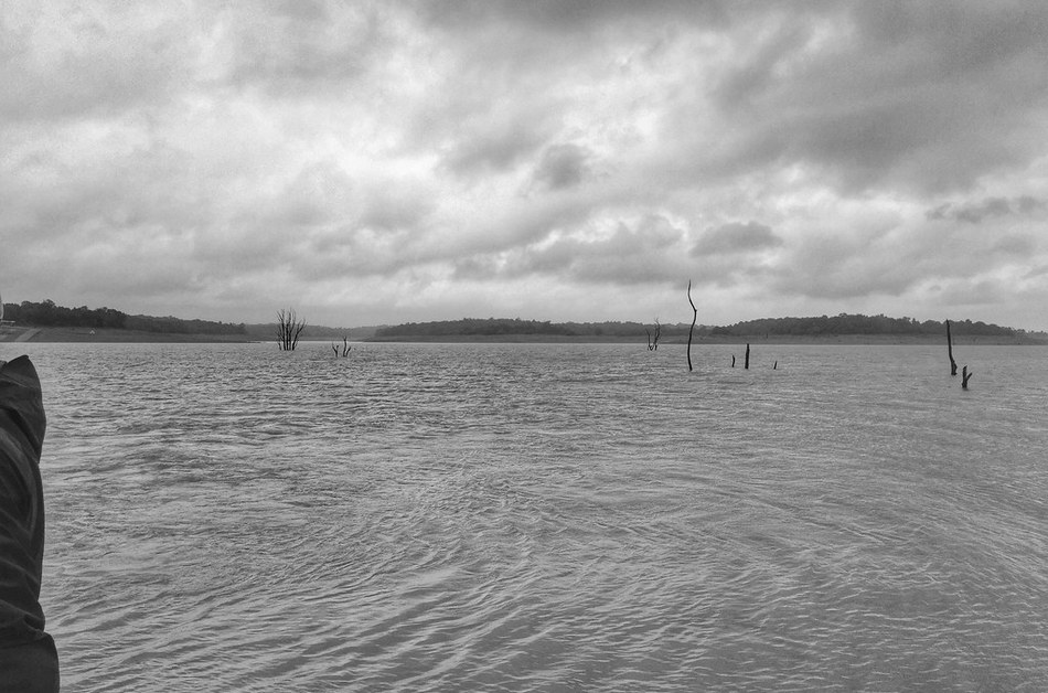 ಹಿನ್ನೀರಿನಲ್ಲೊಂದು ಮುಂಜಾನೆ: ವಿನಾಯಕ ಅರಳಸುರಳಿ ಅಂಕಣ