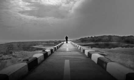 ಹರ್ಷದ ಕೂಳನ್ನು ನೆಚ್ಚಿಕೊಂಡು ವರ್ಷದ ಕೂಳನ್ನು  ಕಳೆದುಕೊಳ್ಳಬಾರದಂತೆ!!: ಬಸವನಗೌಡ ಹೆಬ್ಬಳಗೆರೆ ಸರಣಿ