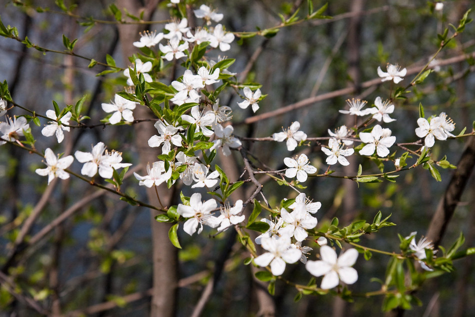 ‘ಕಾಲ ನದಿಯಲಿ ನಮ್ಮ ಬಾಳ ದೋಣಿ’: ರವೀಂದ್ರ ನಾಯಕ್ ಸಣ್ಣಕ್ಕಿಬೆಟ್ಟು ಬರಹ