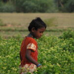 ಹೆಣ್ಣಂದ್ರ ರಕ್ತ ಬಸೀಬೇಕು….: ಸುವರ್ಣ ಚೆಳ್ಳೂರು ಸರಣಿ