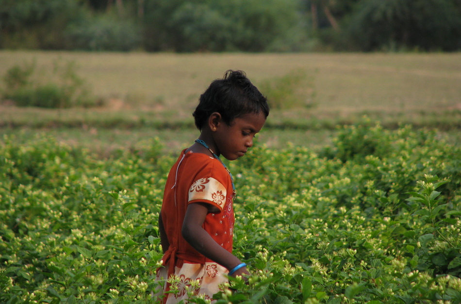 ಹೆಣ್ಣಂದ್ರ ರಕ್ತ ಬಸೀಬೇಕು….: ಸುವರ್ಣ ಚೆಳ್ಳೂರು ಸರಣಿ
