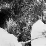 ‘ಹೊಸ’ ಅಲೆ  ಮತ್ತು ‘ಹಗರಣ’: ಸುಕನ್ಯಾ ಕನಾರಳ್ಳಿ ಅಂಕಣ