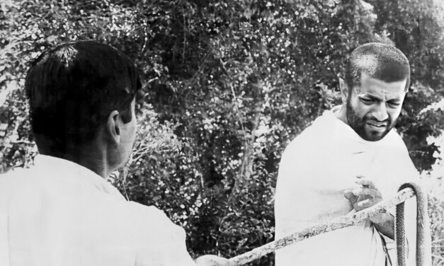 ‘ಹೊಸ’ ಅಲೆ  ಮತ್ತು ‘ಹಗರಣ’: ಸುಕನ್ಯಾ ಕನಾರಳ್ಳಿ ಅಂಕಣ