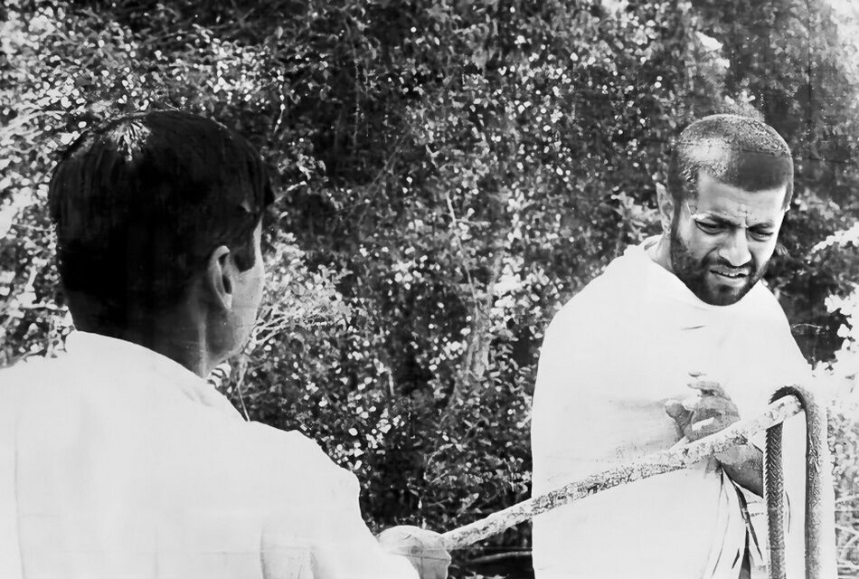 ‘ಹೊಸ’ ಅಲೆ  ಮತ್ತು ‘ಹಗರಣ’: ಸುಕನ್ಯಾ ಕನಾರಳ್ಳಿ ಅಂಕಣ