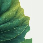 ಕ್ಷಮಾ ವಿ. ಭಾನುಪ್ರಕಾಶ್‌ ಹೊಸ ಕಥಾ ಸರಣಿ “ಎಳೆಯರಿಗೆ ಸುಲಭ ವಿಜ್ಞಾನ” ಇಂದಿನಿಂದ