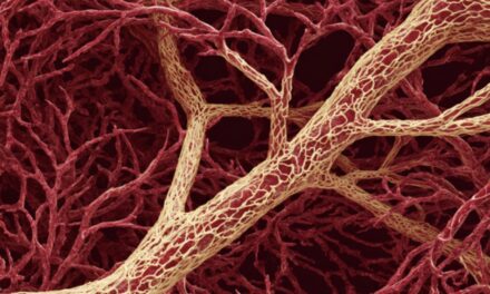 ಧಮನಿ-ಧಮನಿಯೊಳಗೇನಿದು ಮಾಯೆ!: ಕ್ಷಮಾ ವಿ.ಭಾನುಪ್ರಕಾಶ್ ಕಥಾ ಸರಣಿ