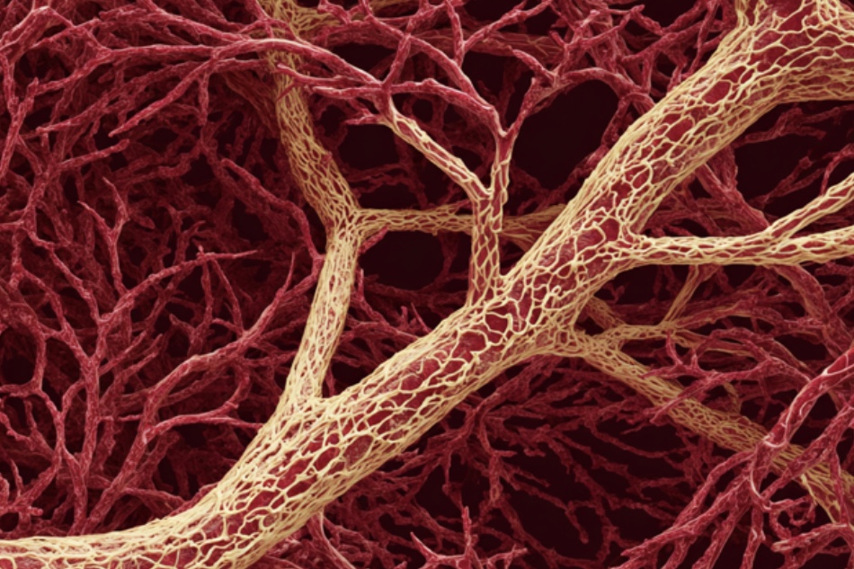 ಧಮನಿ-ಧಮನಿಯೊಳಗೇನಿದು ಮಾಯೆ!: ಕ್ಷಮಾ ವಿ.ಭಾನುಪ್ರಕಾಶ್ ಕಥಾ ಸರಣಿ