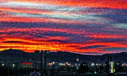 ರಶ್ಮಿ ಕಬ್ಬಗಾರು ಬರೆದ ಈ ದಿನದ ಕವಿತೆ
