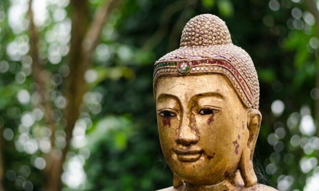 ಬುದ್ಧನಿಲ್ಲ ಇಲ್ಲಿ!: ಸುಕನ್ಯಾ ಕನಾರಳ್ಳಿ ಅಂಕಣ