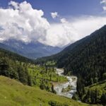 ನಾಕವೋ? ನರಕವೋ?!: ಜಯಲಕ್ಷ್ಮಿ ಪಾಟೀಲ್ ಅಂಕಣ