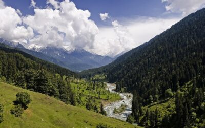 ನಾಕವೋ? ನರಕವೋ?!: ಜಯಲಕ್ಷ್ಮಿ ಪಾಟೀಲ್ ಅಂಕಣ