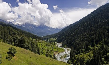 ನಾಕವೋ? ನರಕವೋ?!: ಜಯಲಕ್ಷ್ಮಿ ಪಾಟೀಲ್ ಅಂಕಣ