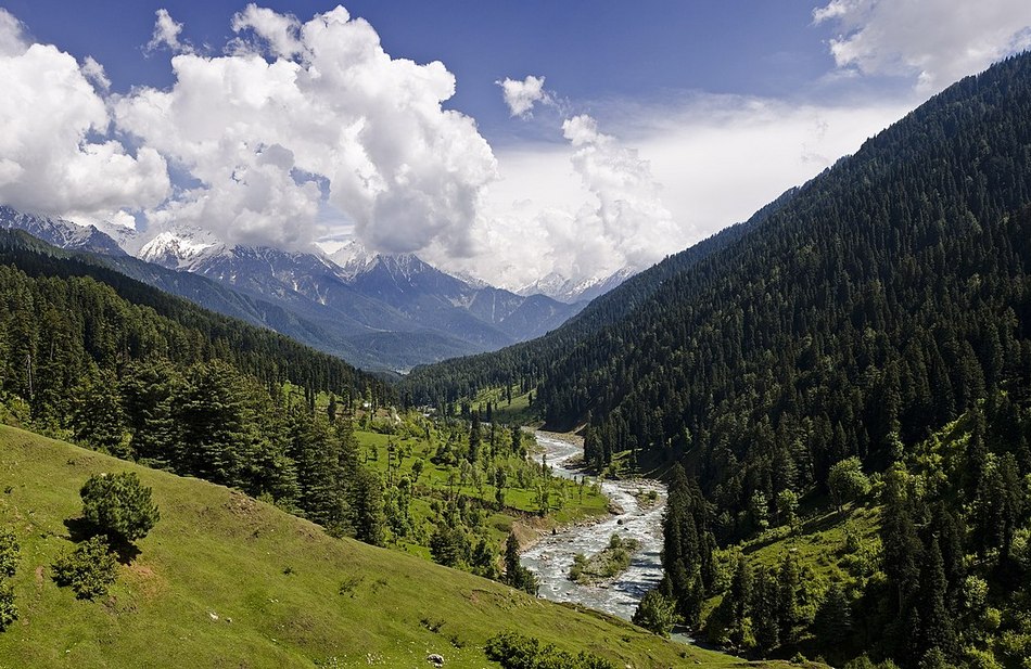 ನಾಕವೋ? ನರಕವೋ?!: ಜಯಲಕ್ಷ್ಮಿ ಪಾಟೀಲ್ ಅಂಕಣ