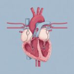 ಕವಾಟದಾಟ: ಕ್ಷಮಾ ವಿ. ಭಾನುಪ್ರಕಾಶ್ ಕಥಾ ಸರಣಿ