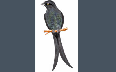 “ಭುಜಂಗ”: ಡಾ. ಎಸ್.ವಿ. ನರಸಿಂಹನ್‌‌ ಸರಣಿ