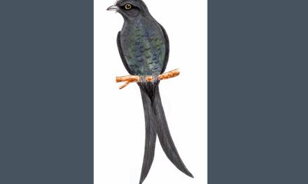 “ಭುಜಂಗ”: ಡಾ. ಎಸ್.ವಿ. ನರಸಿಂಹನ್‌‌ ಸರಣಿ