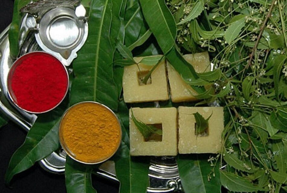 ಯುಗಾದಿ ಅಂದ್ರೆ ನಂಗಿಷ್ಟ: ರೂಪಶ್ರೀ ಕಲ್ಲಿಗನೂರ್‌ ಬರಹ