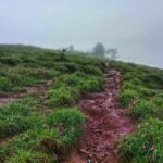 ಸೋಲೆಂಬ ಅಲ್ಪ ವಿರಾಮದ ನಡುವೆ: ಶ್ರೀಧರ್‌ ಎಸ್.‌ ಸಿದ್ದಾಪುರ ಪ್ರವಾಸ ಸರಣಿ