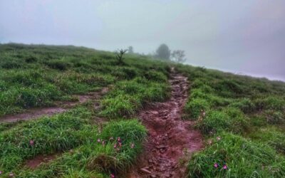 ಸೋಲೆಂಬ ಅಲ್ಪ ವಿರಾಮದ ನಡುವೆ: ಶ್ರೀಧರ್‌ ಎಸ್.‌ ಸಿದ್ದಾಪುರ ಪ್ರವಾಸ ಸರಣಿ