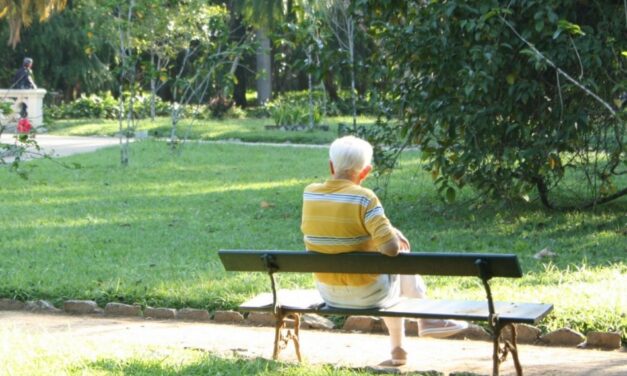 ಬದುಕಿನ ರಾಗದ ಅವರೋಹಣ – ವೃದ್ಧಾಪ್ಯವೆಂಬ ಜೀವನಪದವಿ!: ಡಾ. ಎಲ್.ಜಿ. ಮೀರಾ ಅಂಕಣ