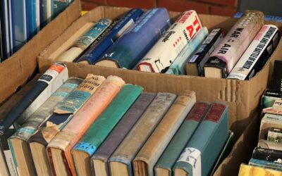 ಕಾರ್ಯಕ್ರಮ ನಮ್ಮದು, ಗೊಂದಲ ದೇವರದು!: ಎಚ್. ಗೋಪಾಲಕೃಷ್ಣ ಸರಣಿ