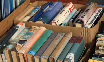 ಕಾರ್ಯಕ್ರಮ ನಮ್ಮದು, ಗೊಂದಲ ದೇವರದು!: ಎಚ್. ಗೋಪಾಲಕೃಷ್ಣ ಸರಣಿ