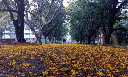 ಒಳಬಾರದು ಆ ವಸಂತ…:  ವಿನಾಯಕ ಅರಳಸುರಳಿ ಅಂಕಣ