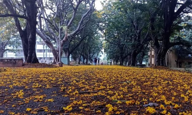 ಒಳಬಾರದು ಆ ವಸಂತ…:  ವಿನಾಯಕ ಅರಳಸುರಳಿ ಅಂಕಣ