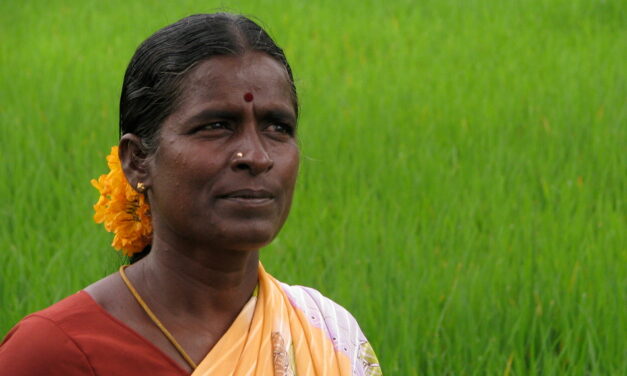 ಅತ್ತಿ ಲಸಮಮ್ಮನೂ… ಜೂನಿ ಬೀರಮ್ಮನೂ…: ಸುವರ್ಣ ಚೆಳ್ಳೂರು ಸರಣಿ