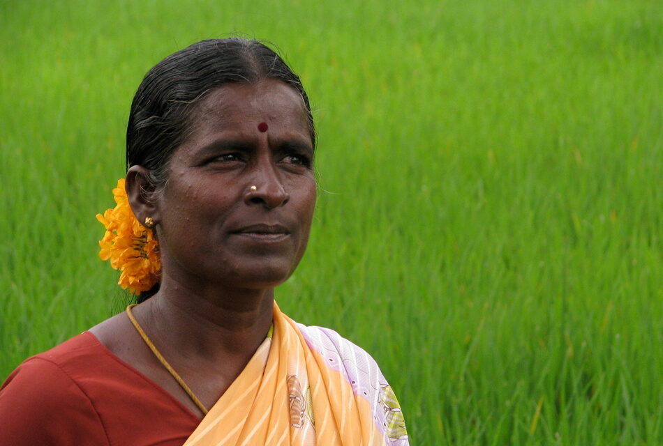 ಅತ್ತಿ ಲಸಮಮ್ಮನೂ… ಜೂನಿ ಬೀರಮ್ಮನೂ…: ಸುವರ್ಣ ಚೆಳ್ಳೂರು ಸರಣಿ