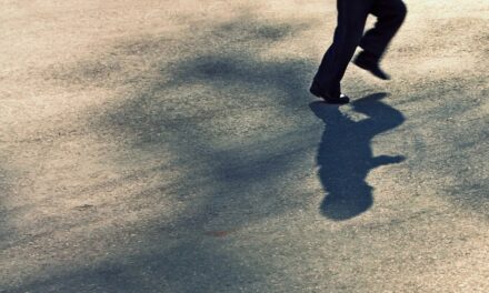 ಎರಡು ಮನೆಗಳ ನಡುವೆ…: ಎಚ್. ಗೋಪಾಲಕೃಷ್ಣ ಸರಣಿ