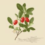 ಕೇಳಿದ್ದು ಸುಳ್ಳಾಗಬಹುದು, ರುಚಿಸಿದ್ದೂ ಸುಳ್ಳಾಗಬಹುದೇ?: ಕ್ಷಮಾ ವಿ. ಭಾನುಪ್ರಕಾಶ್ ಕಥಾ ಸರಣಿ