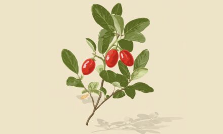 ಕೇಳಿದ್ದು ಸುಳ್ಳಾಗಬಹುದು, ರುಚಿಸಿದ್ದೂ ಸುಳ್ಳಾಗಬಹುದೇ?: ಕ್ಷಮಾ ವಿ. ಭಾನುಪ್ರಕಾಶ್ ಕಥಾ ಸರಣಿ