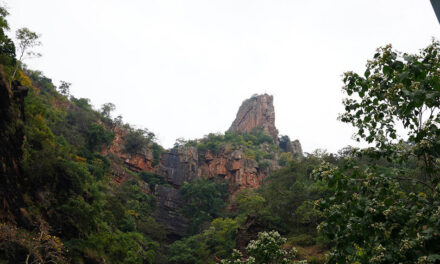 ಬಲ ಉಳ್ಳವರ ಅಹೋಬಿಲಂ!: ಶ್ರೀಧರ್‌ ಎಸ್.‌ ಸಿದ್ದಾಪುರ ಪ್ರವಾಸ ಸರಣಿ