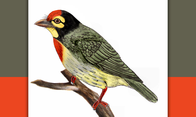 ಕಂಚುಕುಟಿಗ: ಡಾ. ಎಸ್.ವಿ. ನರಸಿಂಹನ್‌‌ ಸರಣಿ