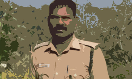 ಸುಂದರ ಕಾಡಿನ ರೋಚಕ ಕಥೆಗಳು-೧೨: ರೂಪಾ ರವೀಂದ್ರ ಜೋಶಿ ಸರಣಿ