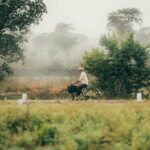 ಅಪ್ಪನ ಅಂಗೈಯಲ್ಲಿ ತಿರುಗುವ ಚಕ್ರಗಳು…: ಲೈಲಾ ಪರ್ವೀನ್‌ ಬರಹ