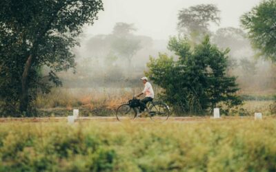 ಅಪ್ಪನ ಅಂಗೈಯಲ್ಲಿ ತಿರುಗುವ ಚಕ್ರಗಳು…: ಲೈಲಾ ಪರ್ವೀನ್‌ ಬರಹ