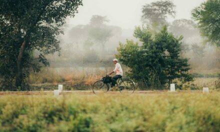 ಅಪ್ಪನ ಅಂಗೈಯಲ್ಲಿ ತಿರುಗುವ ಚಕ್ರಗಳು…: ಲೈಲಾ ಪರ್ವೀನ್‌ ಬರಹ